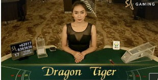 dragon tiger