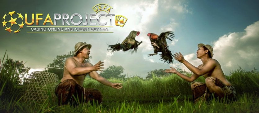 ไก่ชน